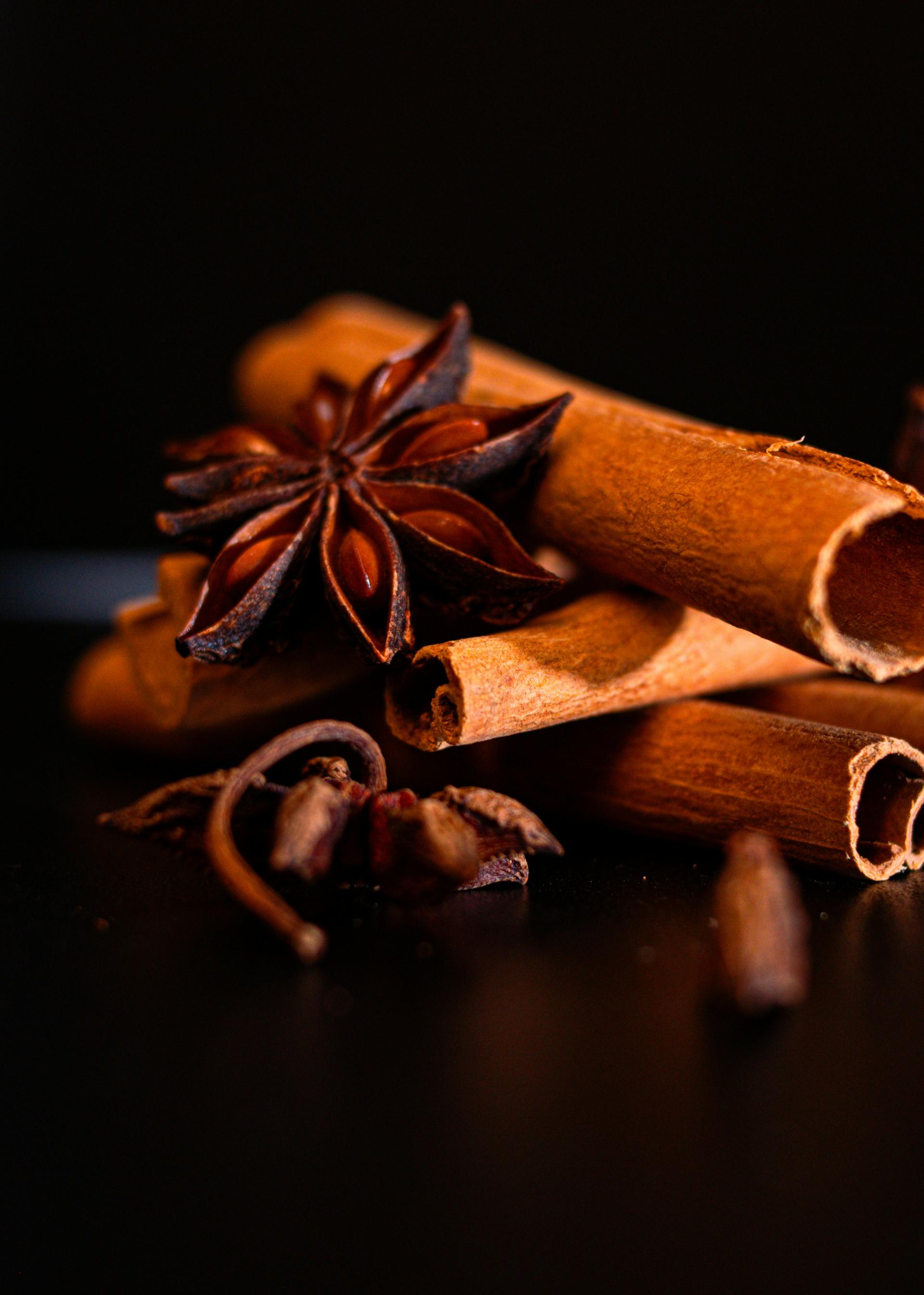 Ferienprogramm: Spekulatius, Marzipan und Schokolade – Pflanzenzauber in der Weihnachtszeit *AUSGEBUCHT*