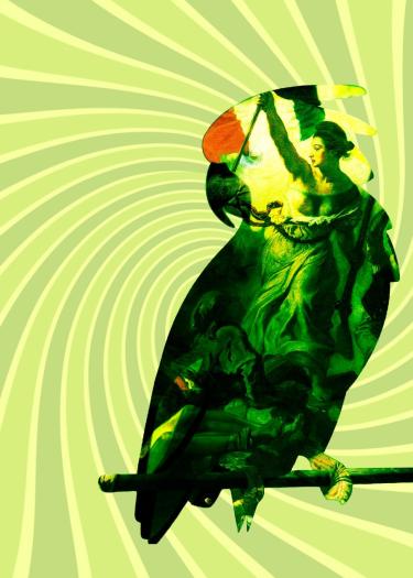 Poster Der Grüne Kakadu