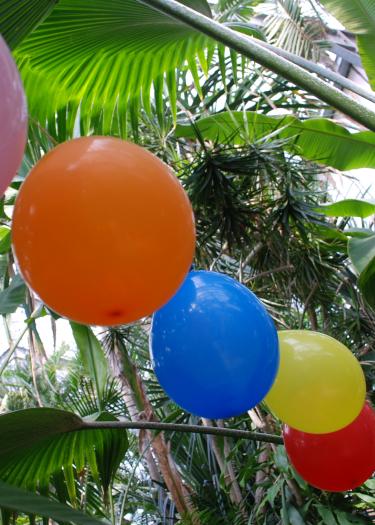 Bunte Luftballons hängen unter Palmen- und Bananenblättern