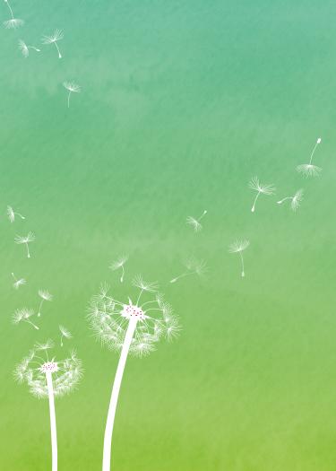 Visual, grüner Hintergrund, weiße Pusteblume mit Sporen