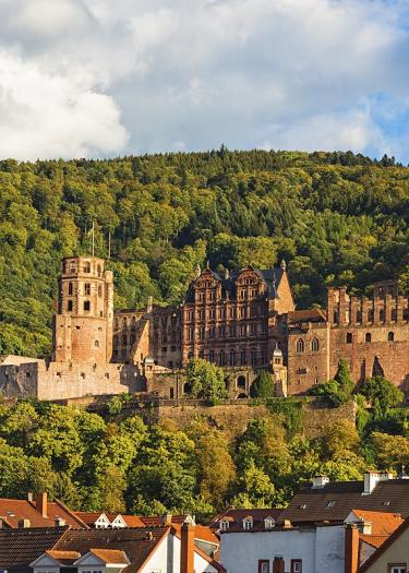 Foto, Heidelberger Schloss, Wald, Dächer