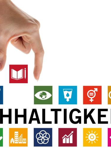 Vorlagen zu den 17 Zielen: UN