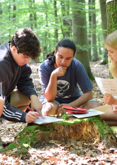 Studierende im Wald