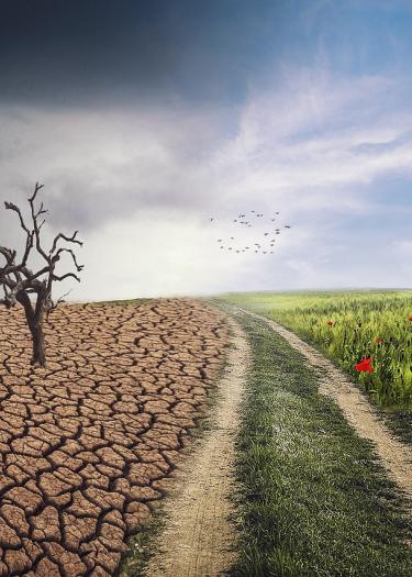 Zwischen Klimaangst und Zukunftsmut