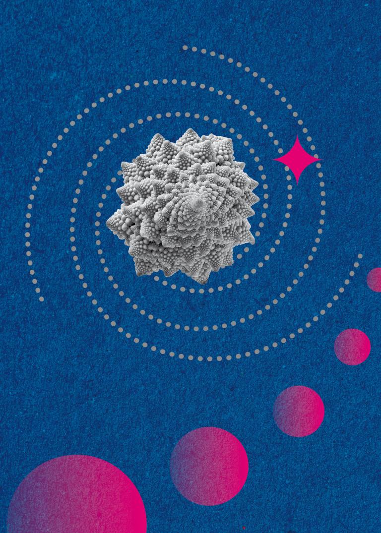 2023 Key Visual Akademische Mittagspause Romanesco mit Spiralen