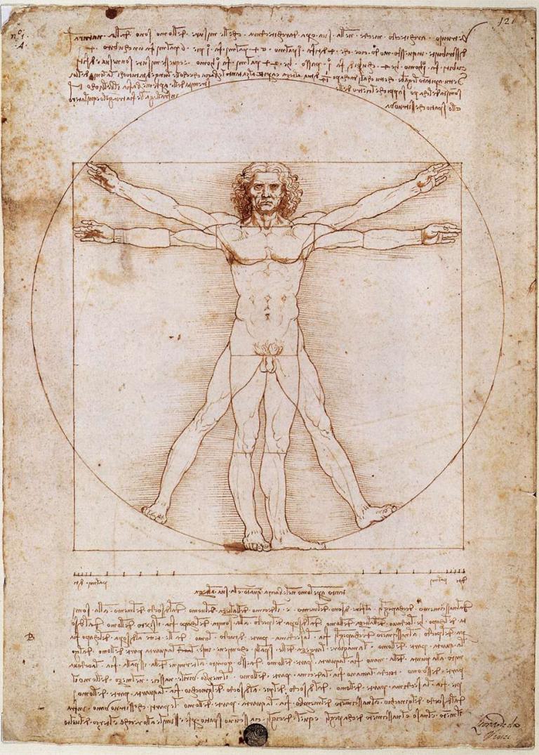 Foto, Vitruvianischer Mensch von Leonardo da Vinci