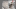 RuCa 25 Vor und Zurück Image Teaser