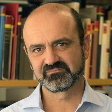 Prof. Dr. Diamantis Panagiotopoulos