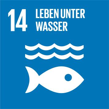 Icon Nr. 14 für Nachhaltigkeitsziele der UN: Leben unter Wasser