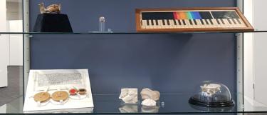 Schauvitrine mit unterschiedlichen Objekten aus den Heidelberger Universitätssammlungen