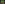 Genomduplikationen