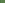 Nahaufnahme eines Königsfarns (Osmunda regalis)