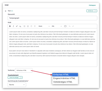 Screenshot des Text-Paragraphs im Backend mit hervorgehobenen Textformaten.