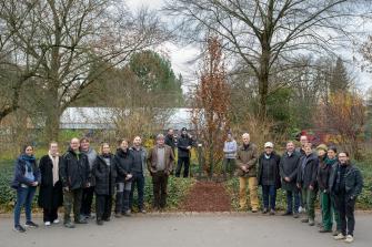 Ein Baum zu Ehren von Jane Goodall