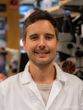 Portrait: Michael Gerlt