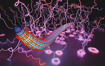 The illustration shows that, in its early stages, the unicellular malaria pathogen Plasmodium has a slender and curved shape, which is responsible for its characteristic helical movements.