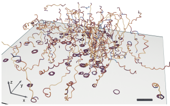 Using image processing, the three-dimensional trajectories of the malaria parasites can be quantitatively analyzed.